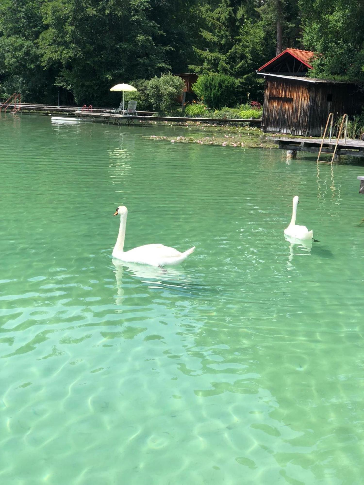 Hotel Alex Sankt Kanzian am Klopeiner See Luaran gambar