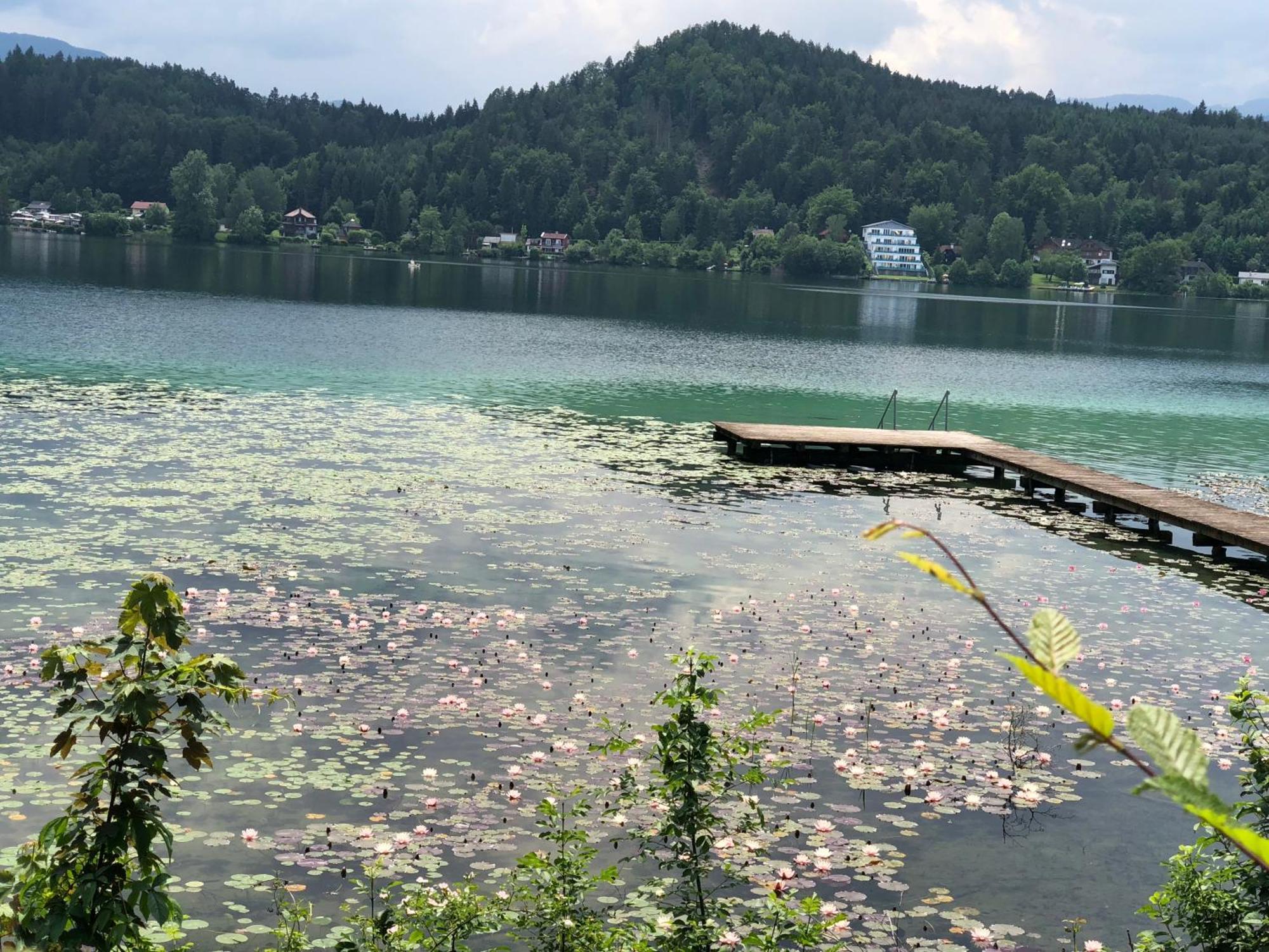 Hotel Alex Sankt Kanzian am Klopeiner See Luaran gambar